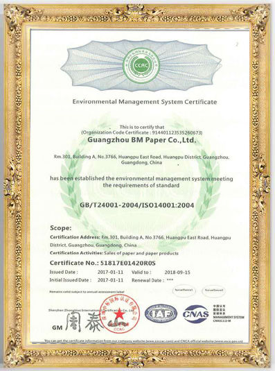 Doppeltes des Helligkeits-versieht weißes glattes Kunstdruckpapier