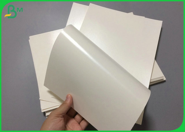 1 Seitenwasserdichtes PET 240gsm + 15gr hohes Weiße PET gestrichenes Papier für Papierschüssel 1 Seitenwasserdichtes PET 240gsm + 15gr hohes Weiße PET gestrichenes Papier für Papierschüssel