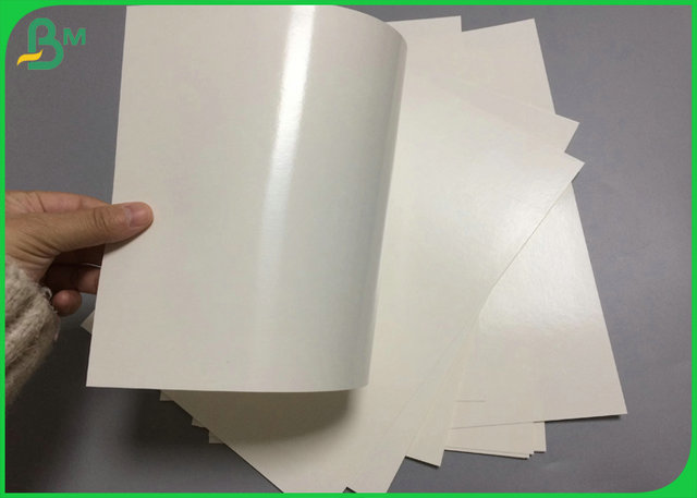 Nahrungsmittelgrad-Material 240 + 15PE beschichtete Karton Cupstock für Papierschalen-Produktion