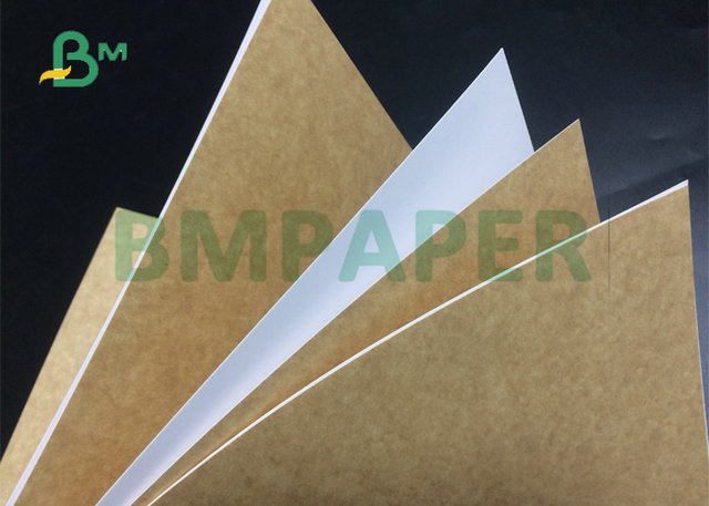 Beschichtete Nahrungsmittelgrad 100% 325gr 365gr Kraftpapier-Rolle für den gedruckten Lebensmittelverpackungs-Kasten