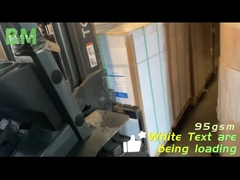 Bmpaper Professional wird geladen