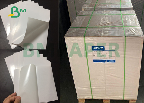 1072mm Form 78gsm beschichtete +60gsm-Pergamin-Zwischenlagen-klebendes Papier für Etikettendruck