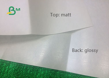 PET 12gsm 15gsm beschichtete weißes Kraftpapier in der Rolle für Brot-Taschen