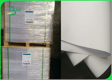 70 80 G/M hohe Weiße unbeschichteter Papierkopierer riesiger Rolls Woodfree