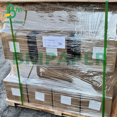 260g wasserdichtes undurchsichtiges doppelseitiges Harzbeschichtung RC Fotopapier