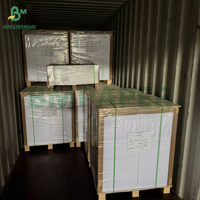240 gm 260 gm Weißes Druckbecher Papier zur Herstellung von Bechern 700 mm 800 mm