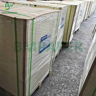 16PT 18PT 20PT Thermoformed White Blister Cardboard für die Verpackung von Muschelschalen