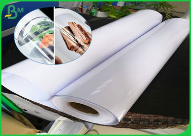 Wasserdichte Papppapier-Rolle, 150 Foto-Papier-Rolle G/M 190gsm hohe glatte RC mit Lech-Rückseite für Pigment-Tinte