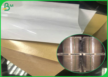 Riesiges Rollen-PET beschichtete eine Seite Brown/weißes Kraftpapier für Nahrungsmittelverpackung