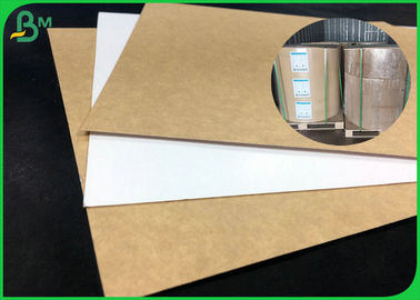 Jungfrau-Massen-überzogenes Kraftpapier-Brett 325gsm 360gsm 31 x 43inches für Brotdose