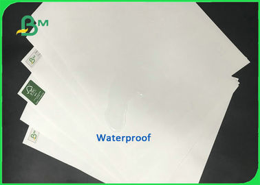 Wasserdichtes 140g 160g 300mm * 500m Stein-Papier für den Druck des Notizbuches
