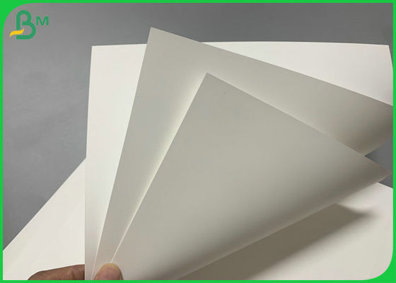 Glattes wasserdichtes 100μm pp. synthetisches Papier für die Herstellung von Schmuck-Aufkleber 570 x 270mm