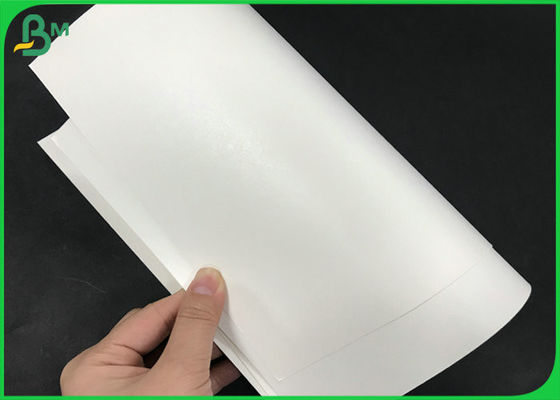 Starkes wasserdichtes 245gsm weißes Kraftpapier + PET 15g Film-gestrichenes Papier für Kaffee-Papierschale