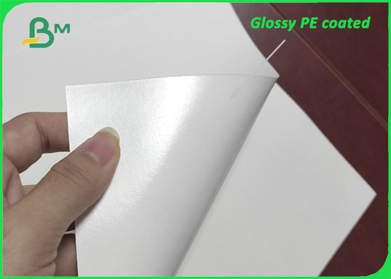 Glattes Simplex PET Film-gestrichenes Papier PET 280g + 15g für Papierschalen