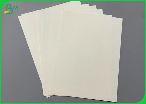 hohe Steifheits-unbeschichtetes Schalen-Papier 700mm Breiten-300gsm für die Herstellung der Papierschale