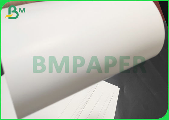 Hohes weißes hinteres faltendes Massenbrett GC1 295gsm für das Verpacken der Lebensmittel