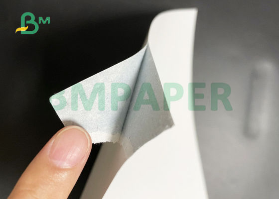 Kinkbeständig 300gr 310gr Doppelseitig beschichtet glänzendes Spielkarton 70x100cm