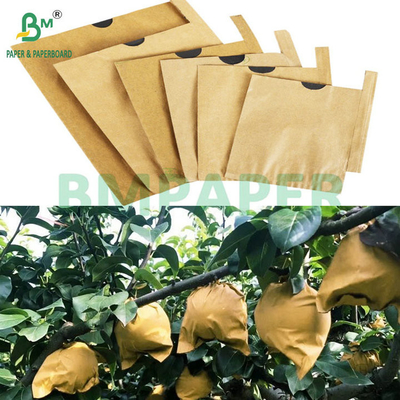 59gm Sonnencreme Tränenbeständig Obst Hülle Papier Braun Oberteil Schwarz Rücken