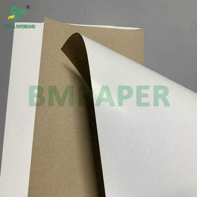 300 gm 350 gm SBS Festbleiche Sulfat zur Herstellung von Faltschachteln