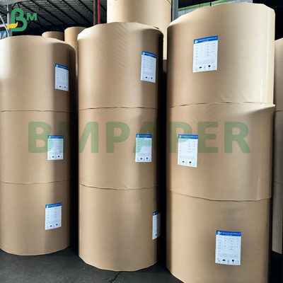 Kassenkasse und Thermalquittungspapier 48 gm 570 mm 800 mm Roll