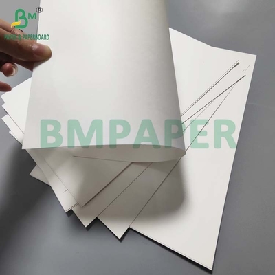 Lebensmittelqualität 190gm+18g PE beschichtetes Becherpapier für heißen Kaffee Wasserdicht Öldicht