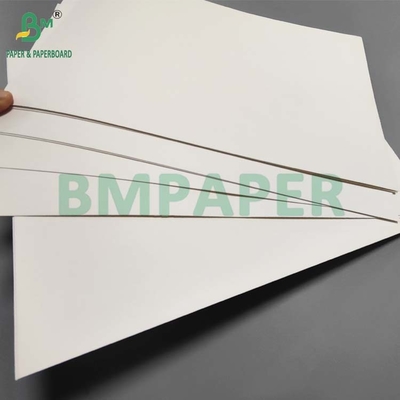 Lebensmittelqualität 190gm+18g PE beschichtetes Becherpapier für heißen Kaffee Wasserdicht Öldicht