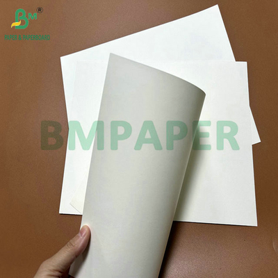 31 Zoll, 35 Zoll, 230 Gramm, 260 Gramm PE beschichtete Tassenpapierrolle für Kaffeetränken