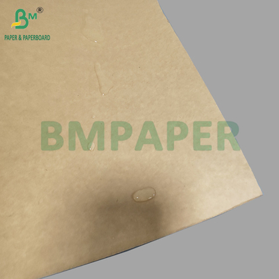 Lebensmittelkraftstoff 320 gm + 20 g PE-Beschichtetes Papier für Kaffeetassen