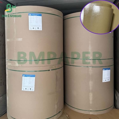 300 gm fettfeste 1 Seiten PE beschichtete Pappe für Lunch Box 70 x 100cm