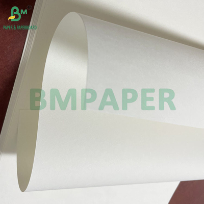Jungholzzpulp, großflächiges Buchpapier, 65 g, 70 g, 75 g, in Blättern oder Rollen
