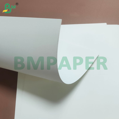 PE-beschichtete, feuchtigkeitsbeständige Papierrollen für einmalige Becher