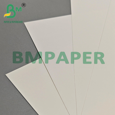 Mehrzweckpapier aus PET-Film 200um für Exportverpackungen und industrielle Etiketten
