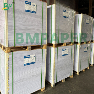 250 gm Wasserhaltige Tassenbasis Papier Wasserhaltige Kunststoffe frei von Lebensmitteln