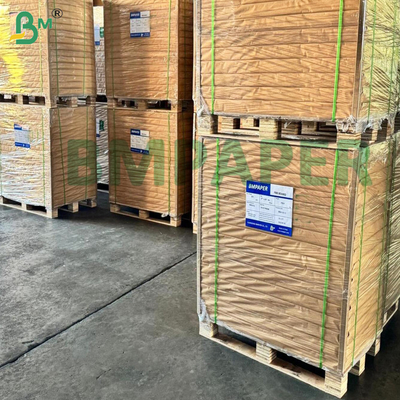 250 gm Wasserhaltige Tassenbasis Papier Wasserhaltige Kunststoffe frei von Lebensmitteln