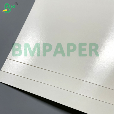 260g 280g 300g gute Dichtbarkeit Temperaturbeständige Papierplatte PET-Film für Veranstaltungen und Catering
