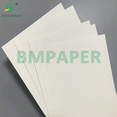 Einseitige PE-Beschichtung 18gsm 190gsm 210gsm Papierbecher Material für Kaffeetische