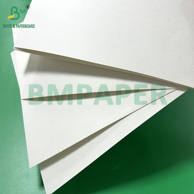 240 gm 260 gm Weißes Druckbecher Papier zur Herstellung von Bechern 700 mm 800 mm