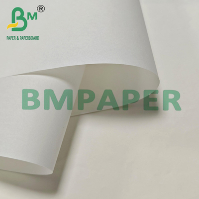 30 g 800 mm leeres fettfestes Papier für die Verpackung gebratener Lebensmittel