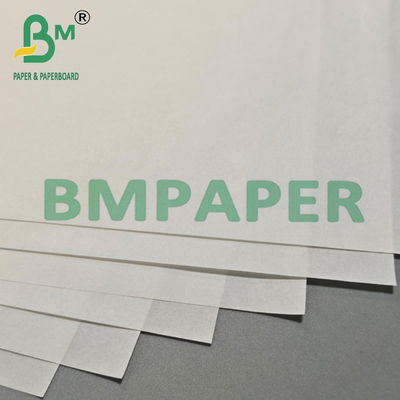 30 g 800 mm leeres fettfestes Papier für die Verpackung gebratener Lebensmittel