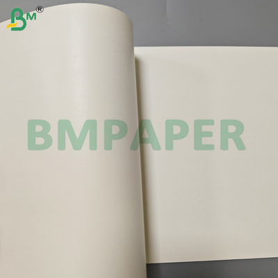 Einseitige PE-beschichtete Becherpapierblätter für Einwegbecher