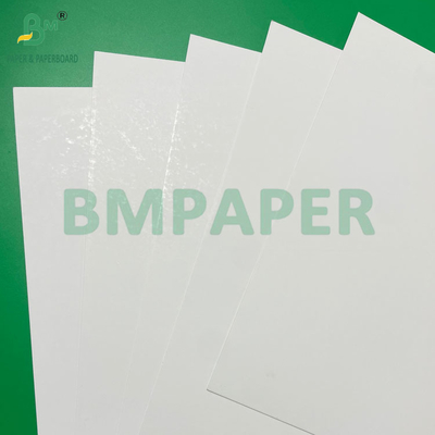 16PT 18PT 20PT Thermoformed White Blister Cardboard für die Verpackung von Muschelschalen