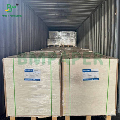 16PT 18PT 20PT Thermoformed White Blister Cardboard für die Verpackung von Muschelschalen
