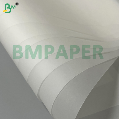 100g 24"x36" Tinte - Widerstandsfähiges, durchsichtiges Zeichnungspapier in Blättern