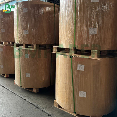 100g 24"x36" Tinte - Widerstandsfähiges, durchsichtiges Zeichnungspapier in Blättern