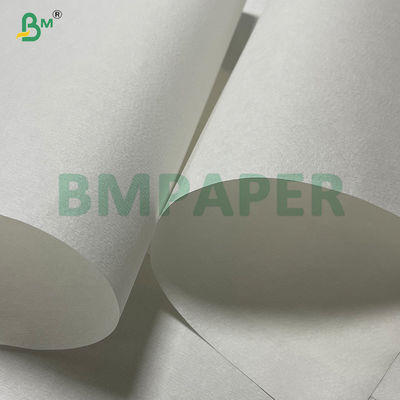 25gsm Foodgrade Bleached Coffee Paper For Hand Drip Coffee