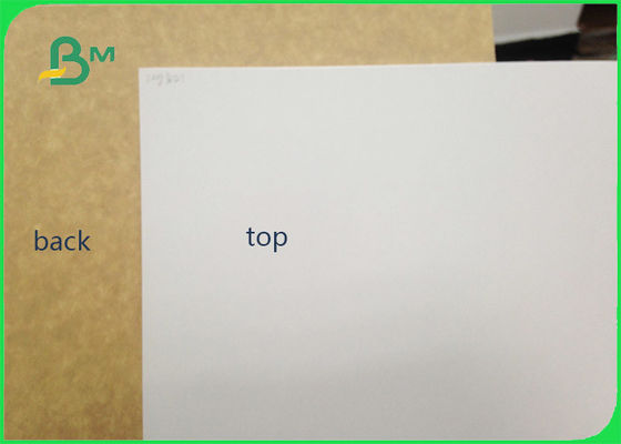 450gsm FSC bestätigte Lehm beschichtete Kraftpapier-Rückseiten-Nahrungsmittelgrad-Papier-Rolle/weißes Zwischenlagen-Papier für das Verpacken