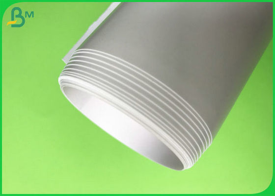 FSC bescheinigte Kunstdruckpapier-/Drucktintenstrahl-Foto-Papier Rolls 190gsm 200gsm 250gsm 300gsm hohes glattes