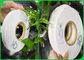 Sicheres harmloses Breiten-Nahrungsmittelgrad-Stroh-Papier 60gsm 120gsm 14mm 15mm für Toilettenpapier-Trinkhalme