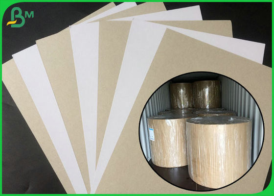 FSC zugelassene überzogenes Duplexbrett-weiße Seite mit Grau-Rückseite in der Großrollen-Verpackung