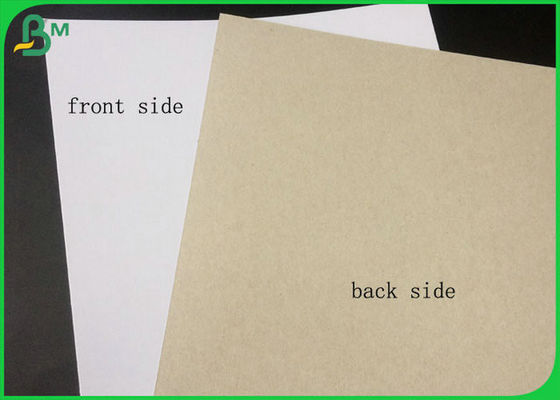 FSC zugelassene überzogenes Duplexbrett-weiße Seite mit Grau-Rückseite in der Großrollen-Verpackung